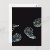 Carte Postale Design irlandais - La collection Crystal (Devant / Derrière)