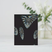 Carte Postale Design irlandais - La Collection Crystal (Debout devant)