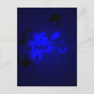 Carte Postale Design irlandais - La collection Flower