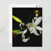 Carte Postale Design irlandais - La collection Flower (Devant / Derrière)