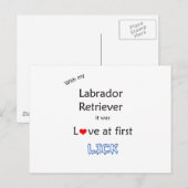 Carte Postale Design Lick Retriever Labrador (Devant / Derrière)