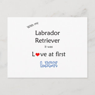 Carte Postale Design Lick Retriever Labrador