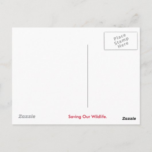 Carte Postale Design Lion (Dos)