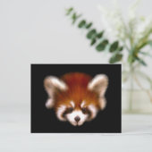 Carte Postale Design Panda rouge (Debout devant)