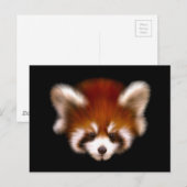 Carte Postale Design Panda rouge (Devant / Derrière)
