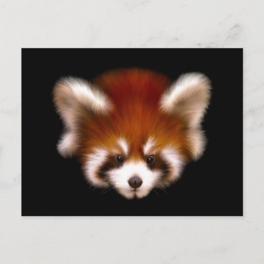 Carte Postale Design Panda rouge (Devant)