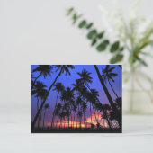 Carte Postale Design relaxant Floride atmosphère (Debout devant)