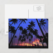 Carte Postale Design relaxant Floride atmosphère (Devant / Derrière)