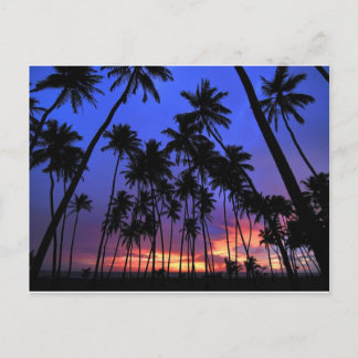 Carte Postale Design relaxant Floride atmosphère