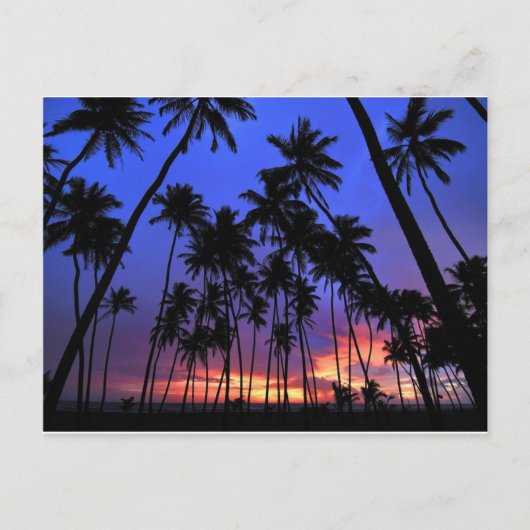 Carte Postale Design relaxant Floride atmosphère (Devant)