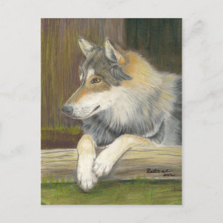 Carte Postale Désireux d'être libre