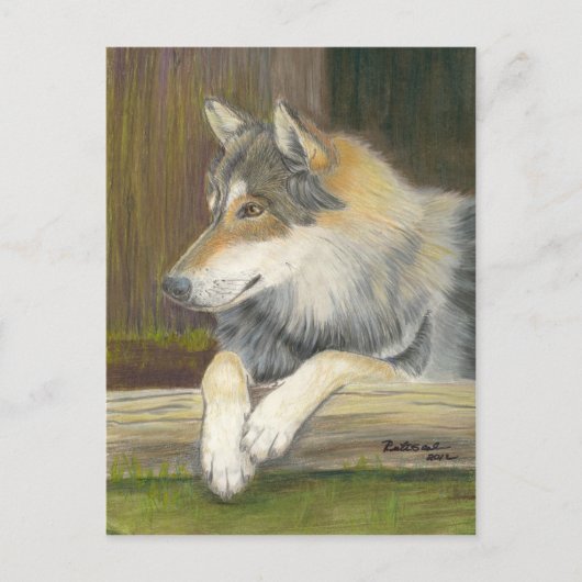 Carte Postale Désireux d'être libre (Devant)