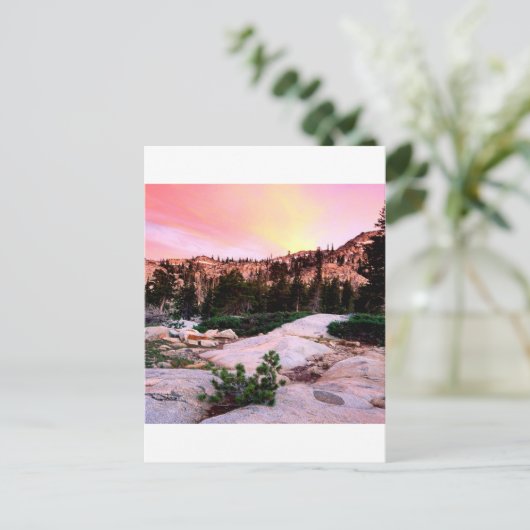 Carte Postale Desolation forestière Wilderness Eldorado (Debout devant)