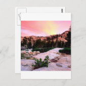 Carte Postale Desolation forestière Wilderness Eldorado (Devant / Derrière)