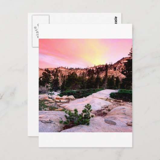 Carte Postale Desolation forestière Wilderness Eldorado (Devant / Derrière)