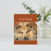 Carte postale Désolé (Debout devant)