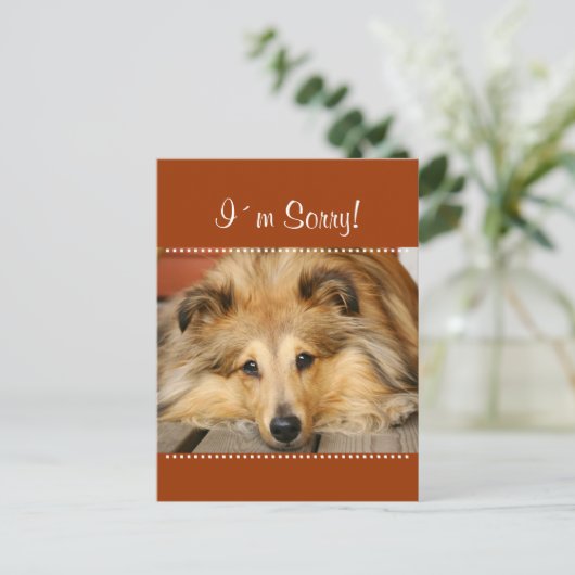 Carte postale Désolé (Debout devant)