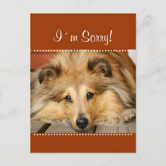 Carte postale Désolé (Devant)