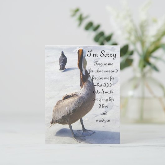 Carte Postale Désolé (Debout devant)