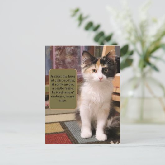 Carte Postale Désolé Calico Kitten (Debout devant)