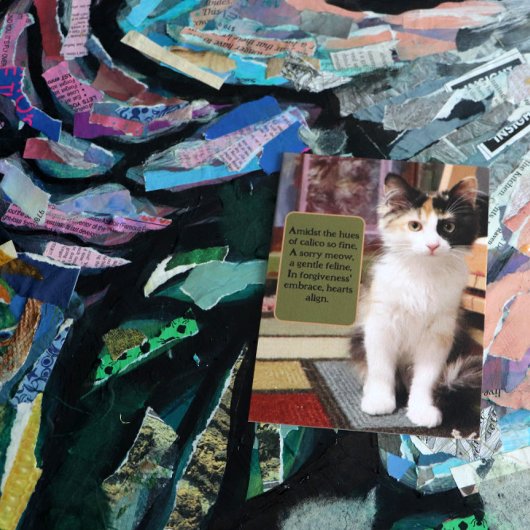 Carte Postale Désolé Calico Kitten