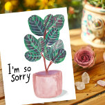 Carte Postale Désolé Condolences Calathea Prière Plante Aquarell<br><div class="desc">Découvrez ce plante de calathea coloré. Vous pouvez garder le texte ou supprimer et ajouter le vôtre! Visitez mon magasin pour plus de détails !</div>