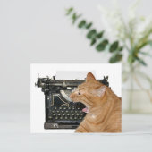 Carte Postale Désolé de ne pas avoir écrit (Debout devant)