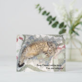 Carte Postale Désolé de ne pas avoir écrit ces derniers temps... (Debout devant)