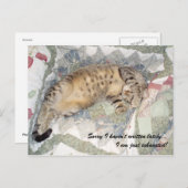 Carte Postale Désolé de ne pas avoir écrit ces derniers temps... (Devant / Derrière)