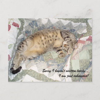 Carte Postale Désolé de ne pas avoir écrit ces derniers temps...