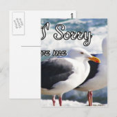 Carte Postale Désolé, Pardonne Moi_ (Devant / Derrière)