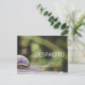 Carte Postale Despacito (Debout devant)