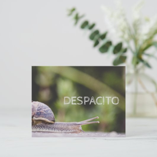 Carte Postale Despacito (Debout devant)
