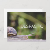 Carte Postale Despacito (Devant / Derrière)