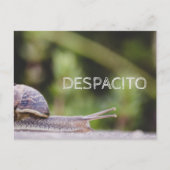 Carte Postale Despacito (Devant)