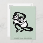 Carte Postale Dessin à la main BONOBO - Chimpanzé - Faune - Prim (Devant / Derrière)