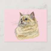 Carte Postale Dessin à la main drôle fluffy Ragdoll chat (Devant)