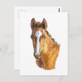 Carte Postale Dessin à la main petit mignon poulain jeter oreill (Devant / Derrière)