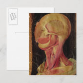 Carte Postale Dessin anatomique de la tête humaine (Devant / Derrière)