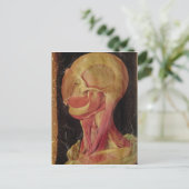 Carte Postale Dessin anatomique de la tête humaine (Debout devant)