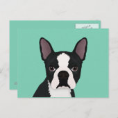 Carte Postale dessin animé de boston terrier (Devant / Derrière)