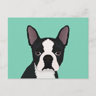 Carte Postale dessin animé de boston terrier