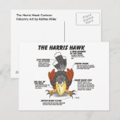 Carte Postale Dessin animé de la buse de Harris (Devant / Derrière)