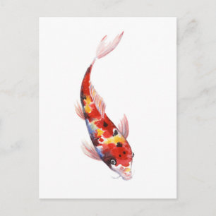 Carte Postale Dessin aquarelle de Koi Carp
