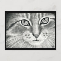dessin au crayon de réalisme de chats mignons