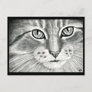 Carte Postale dessin au crayon de réalisme de chats mignons