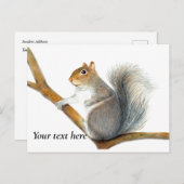Carte Postale Dessin au crayon d'un écureuil gris (Devant / Derrière)