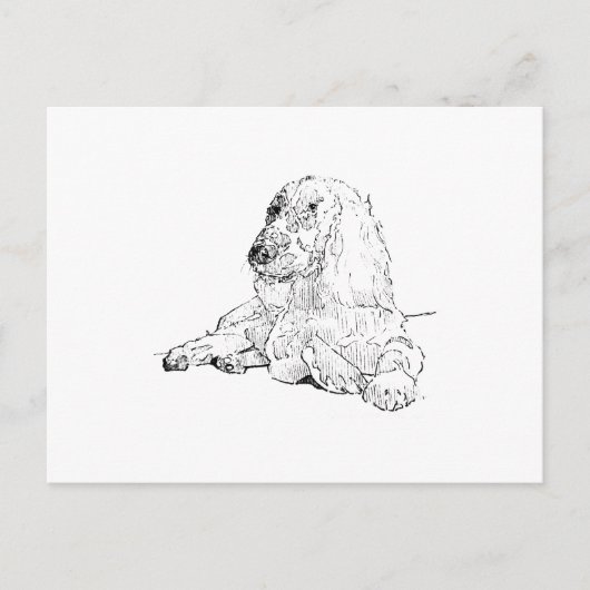 Carte Postale Dessin au trait de Cocker Spaniel Art Chien (Devant)