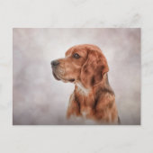 Carte Postale Dessin Beagle de chien (Devant)