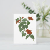 Carte Postale Dessin botanique à fleurs d'Hibiscus (Debout devant)